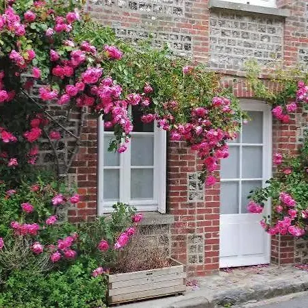 Διαμέρισμα La Brise Salee Veules-les-Roses